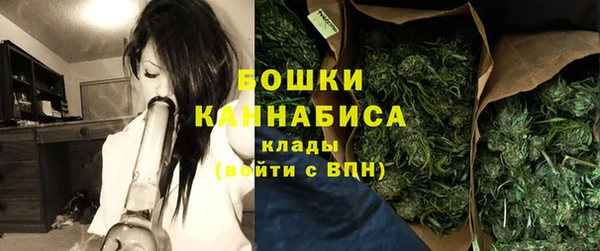 молекула духа Белокуриха