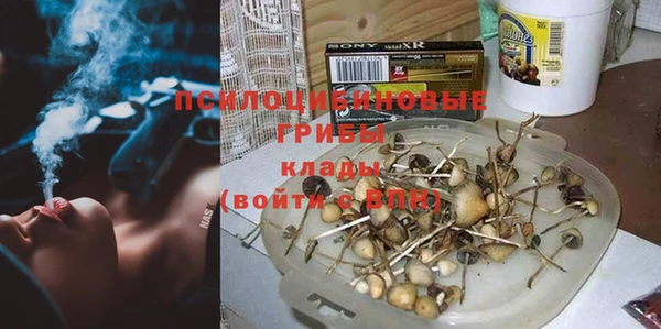 эйфоретик Бородино